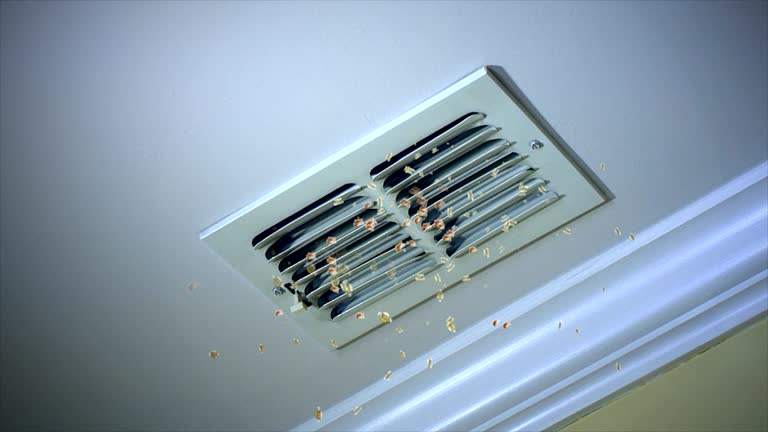 Best Home Air Vent Cleaning  in Edgemont Park, MI